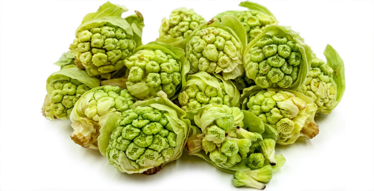 Butterbur