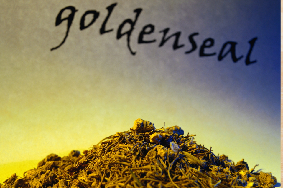 Goldenseal 