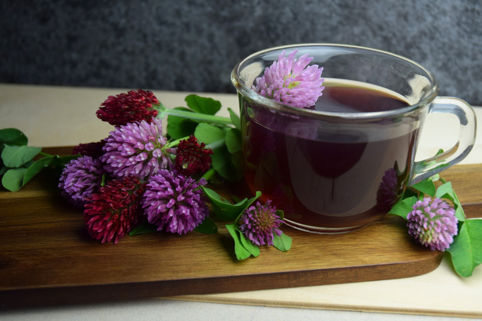 Herbal Recipes
