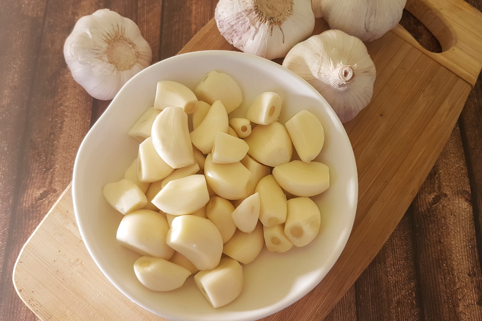 Garlic