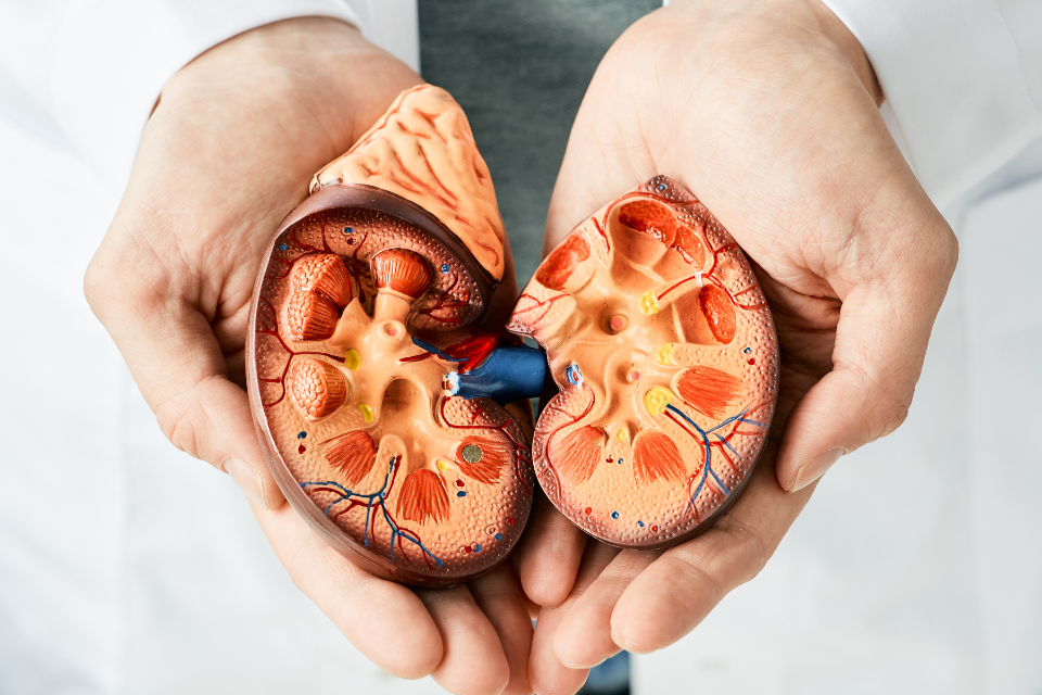 emedies for cardiovascular diseases (6)