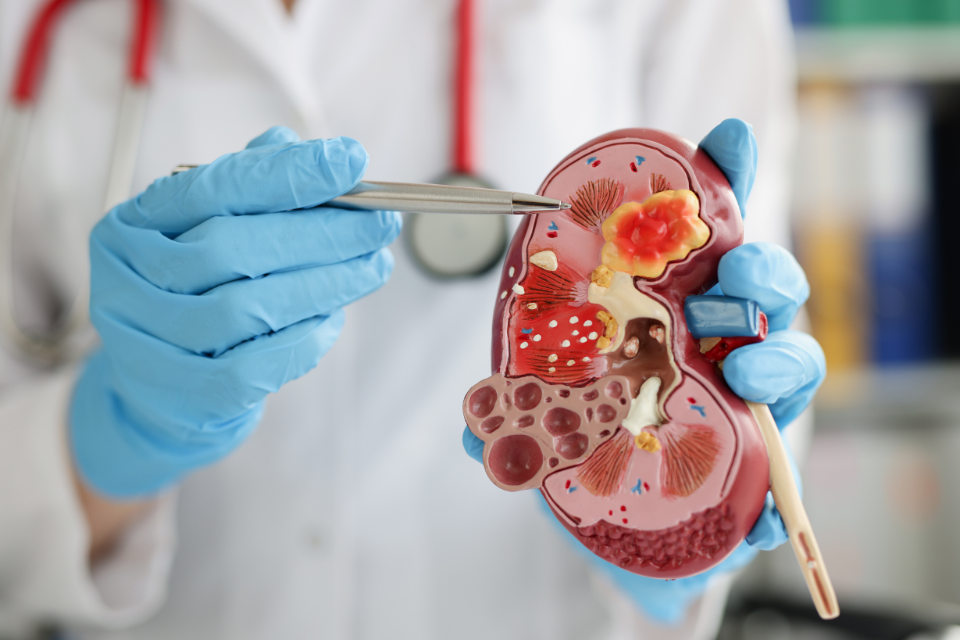 emedies for cardiovascular diseases (7)
